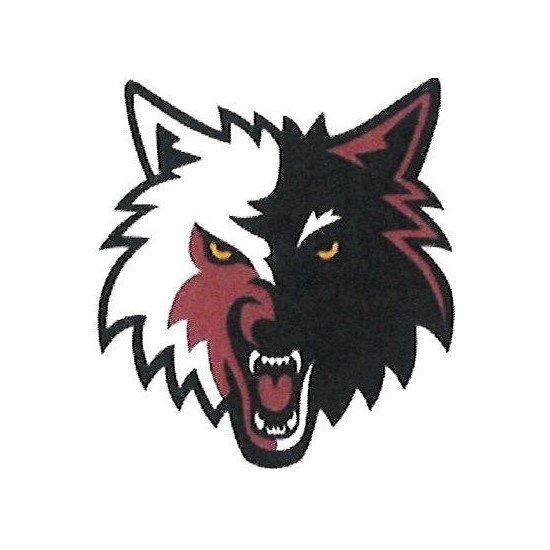 Puckett High School